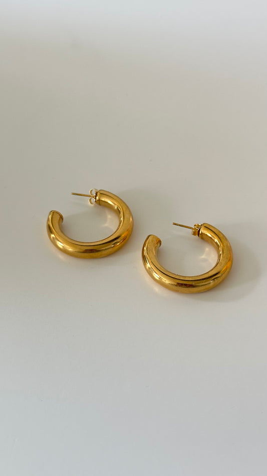 Leo Earring